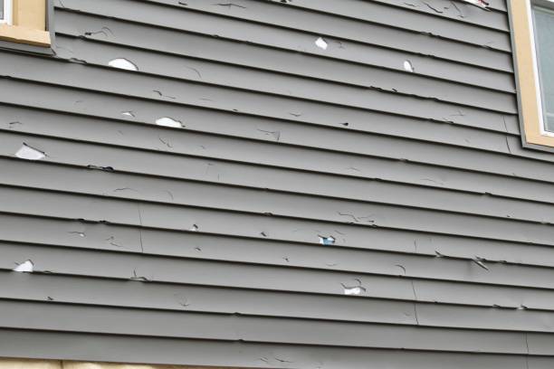 Best Insulated Siding Installation  in Old Miakka, FL