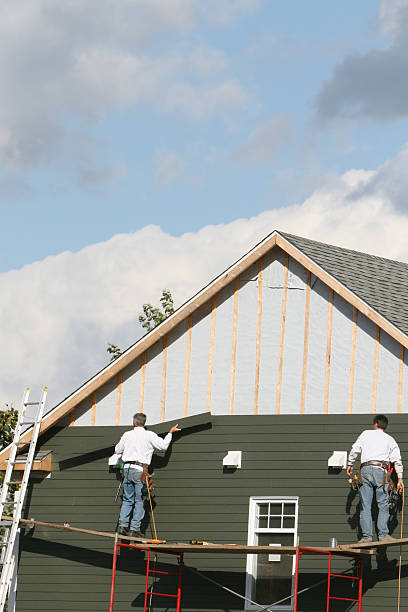 Best Stone Veneer Siding  in Old Miakka, FL